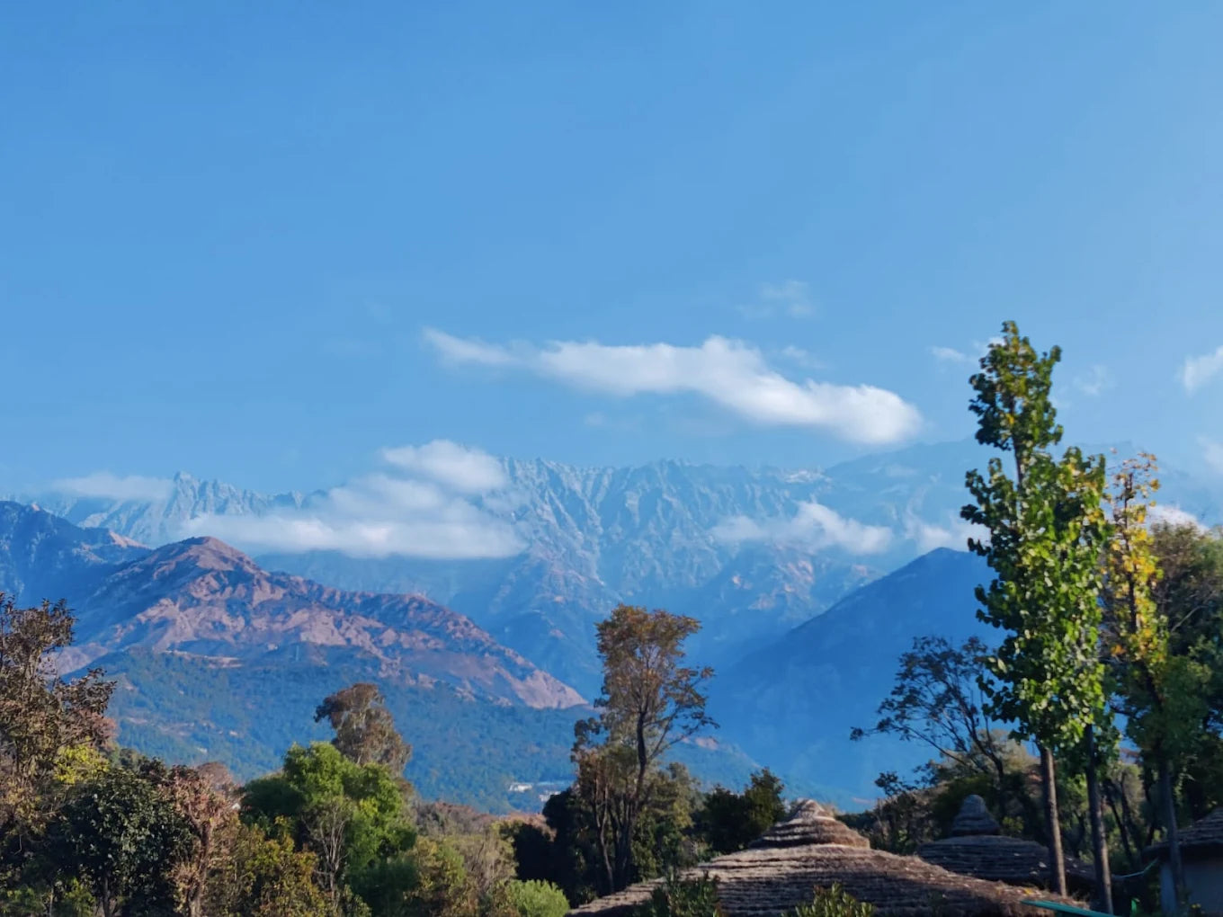 Wise & Wild Retreat at Devbhoomi, India | 7-Day only for Women | September, 2025