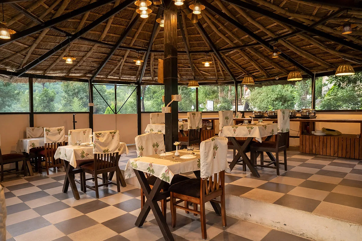 Wise & Wild Retreat at Devbhoomi, India | 7-Day only for Women | September, 2025