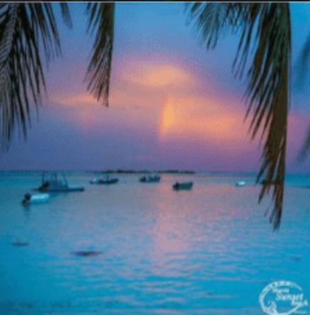 Tahiti Whale Wisdom Retreat ,August 2026
