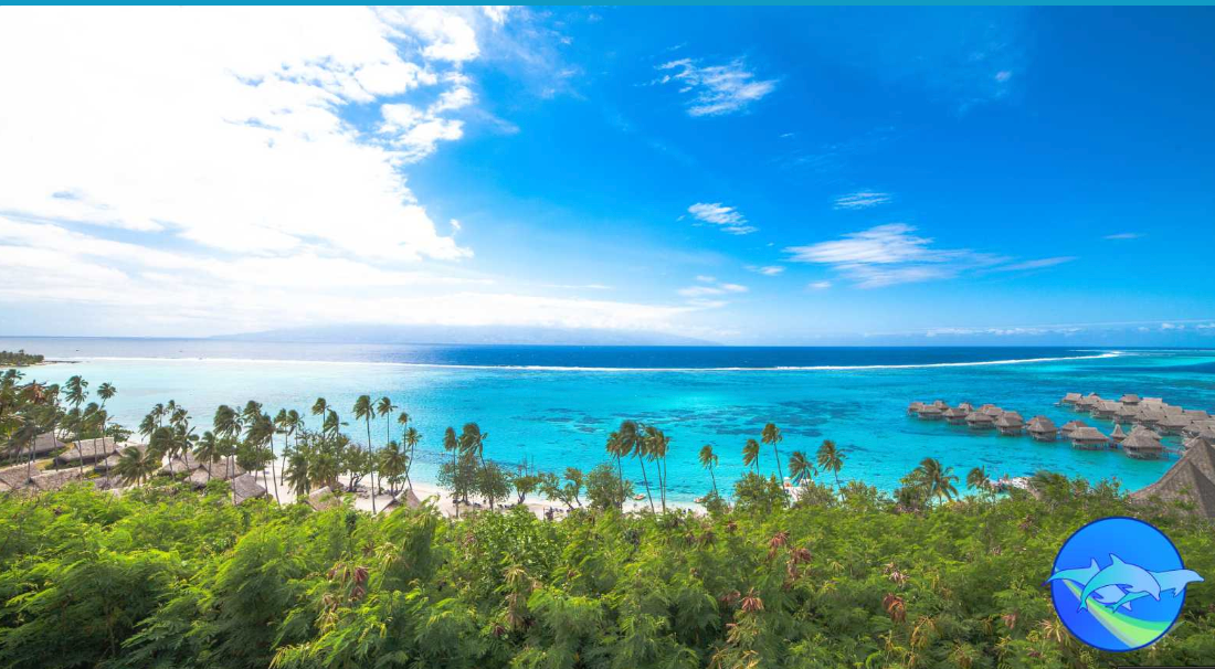 Tahiti Whale Wisdom Retreat ,August 2026