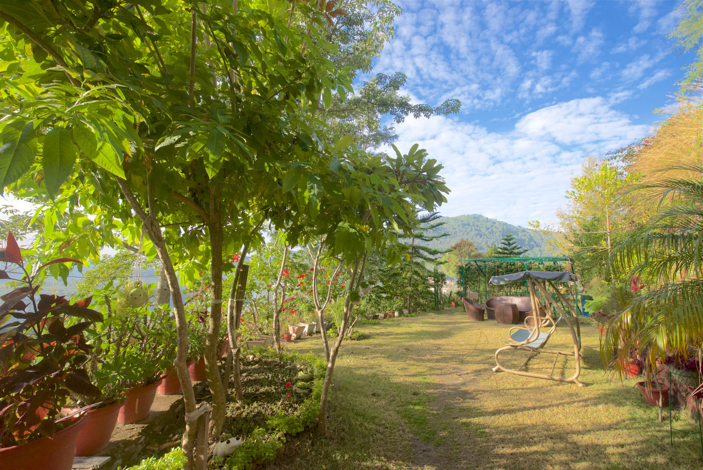 Magpie Retreat in Bhimtal , India | July 2025