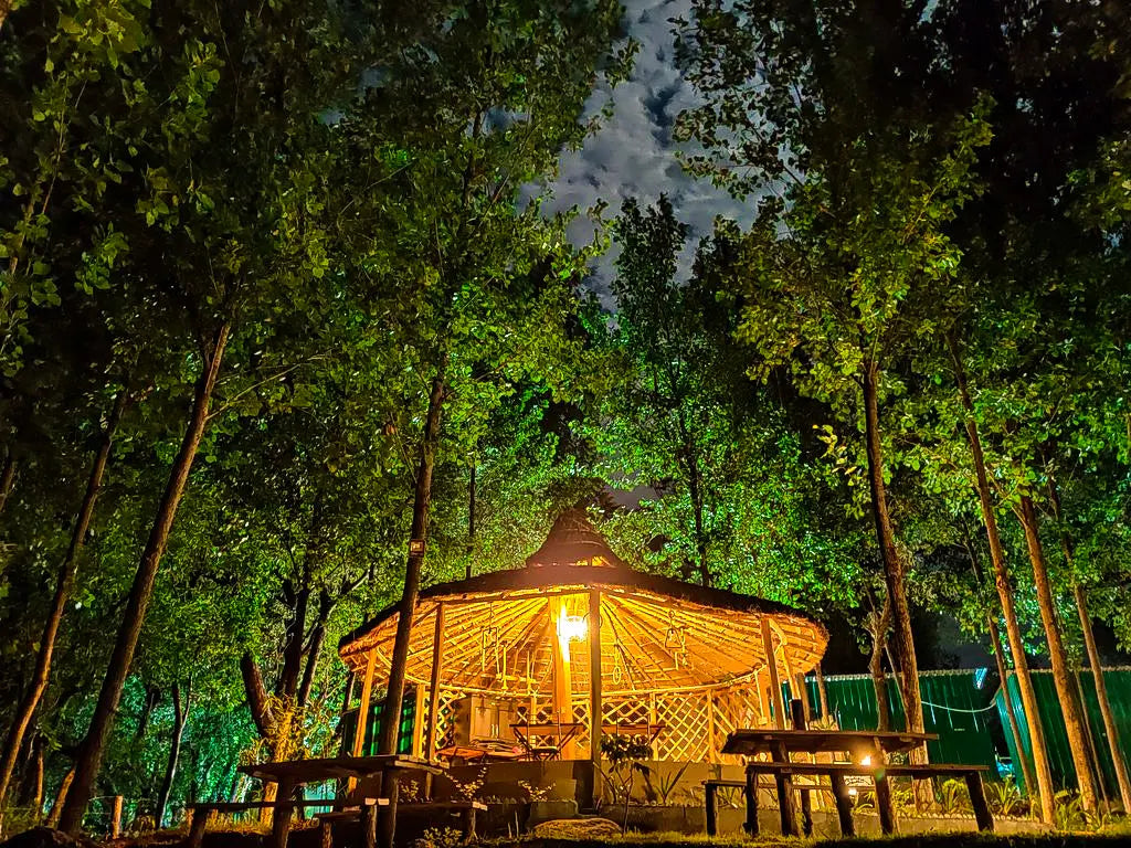Wise & Wild Retreat at Devbhoomi, India | 7-Day only for Women | September, 2025