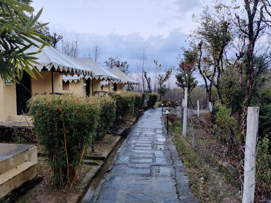 Wise & Wild Retreat at Devbhoomi, India | 7-Day only for Women | September, 2025