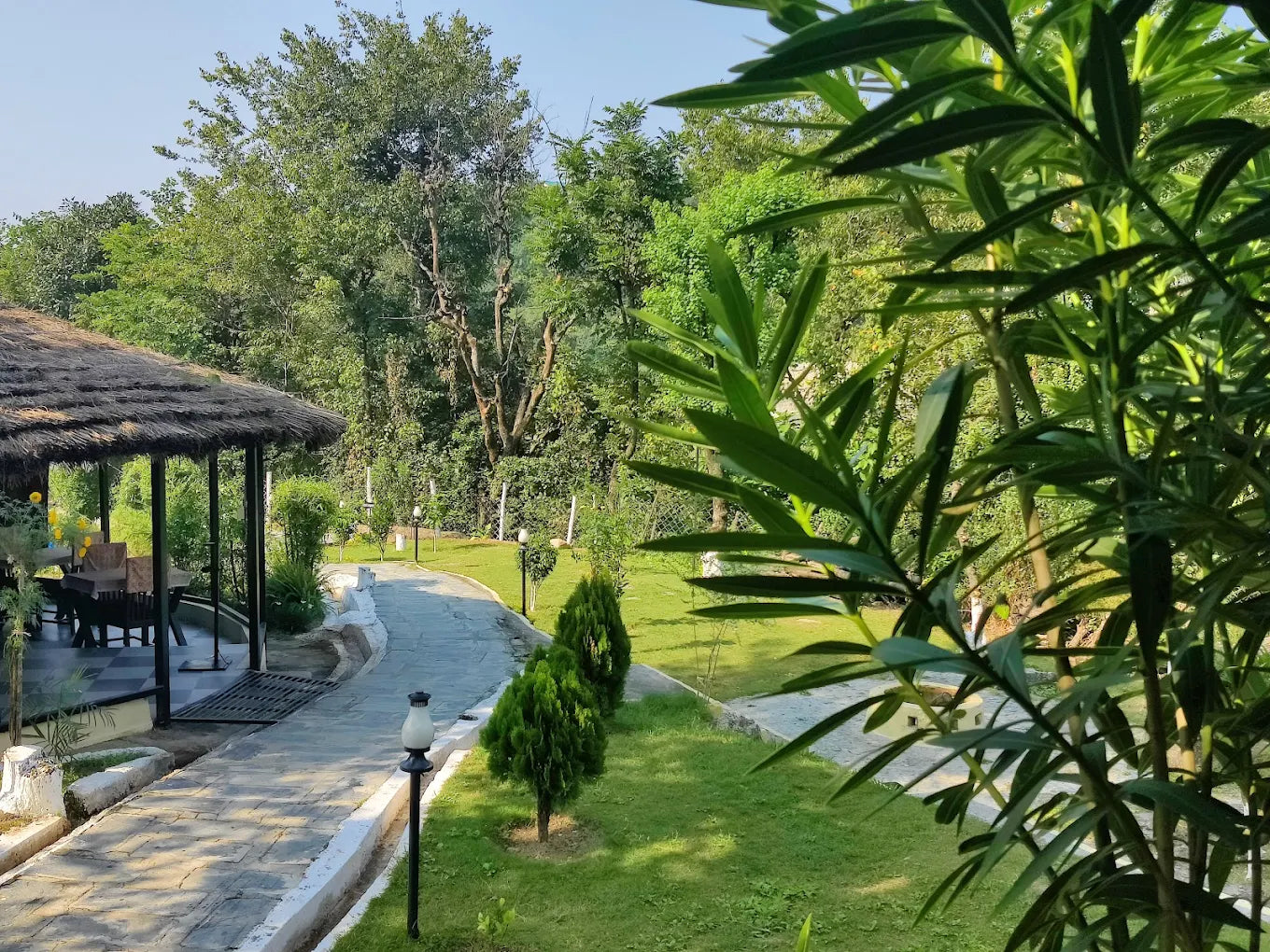 Wise & Wild Retreat at Devbhoomi, India | 7-Day only for Women | September, 2025