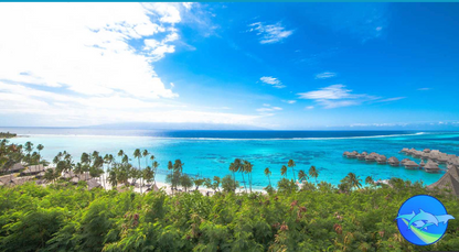 Tahiti Whale Wisdom Retreat ,August 2026